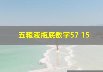 五粮液瓶底数字57 15